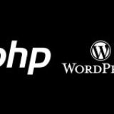 Programar en WordPress Avanzado
