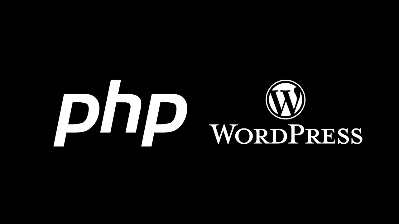Programar en WordPress Avanzado